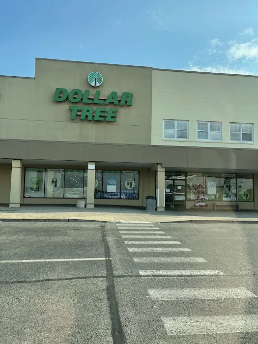Dollar Tree 1