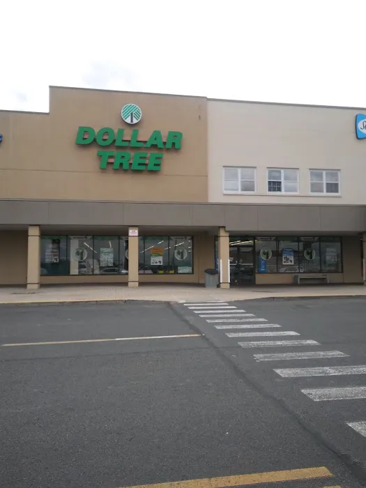 Dollar Tree 2