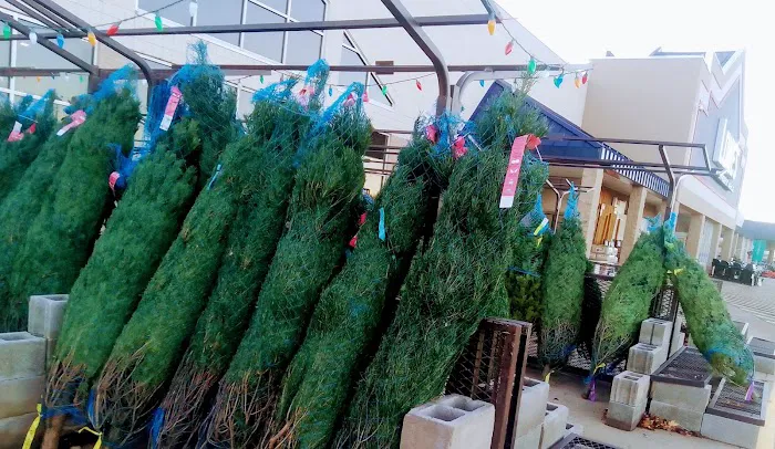 Lowe's Garden Center 3