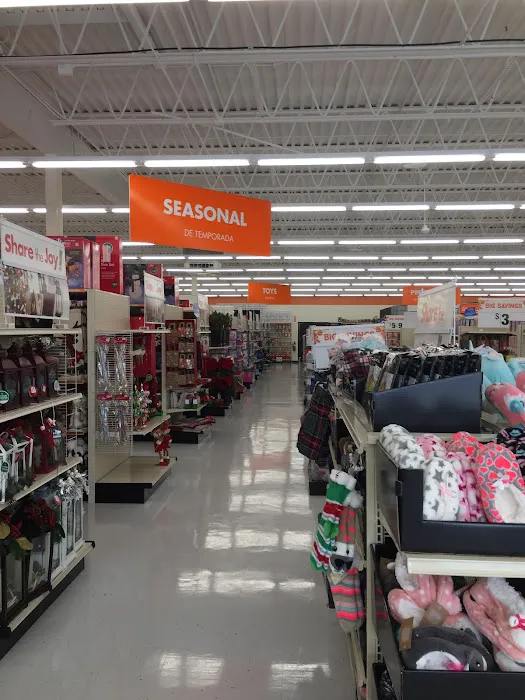 Big Lots 9