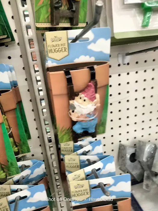 Dollar Tree 6
