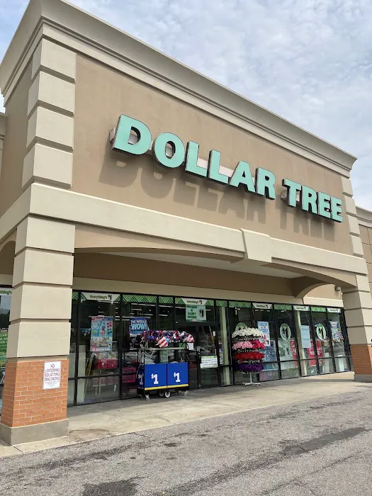 Dollar Tree 0