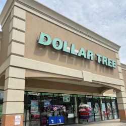 Dollar Tree ico