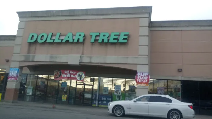 Dollar Tree 4
