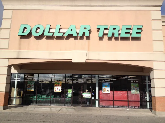 Dollar Tree 8