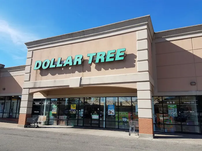 Dollar Tree 9