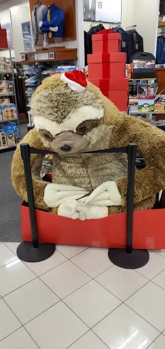 Kohl's 8