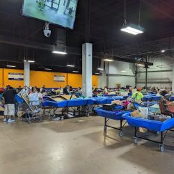Goodwill Outlet Store ico