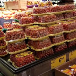 Safeway ico
