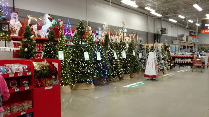 The Home Depot 8
