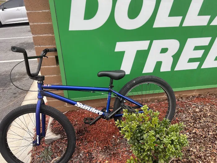 Dollar Tree 6
