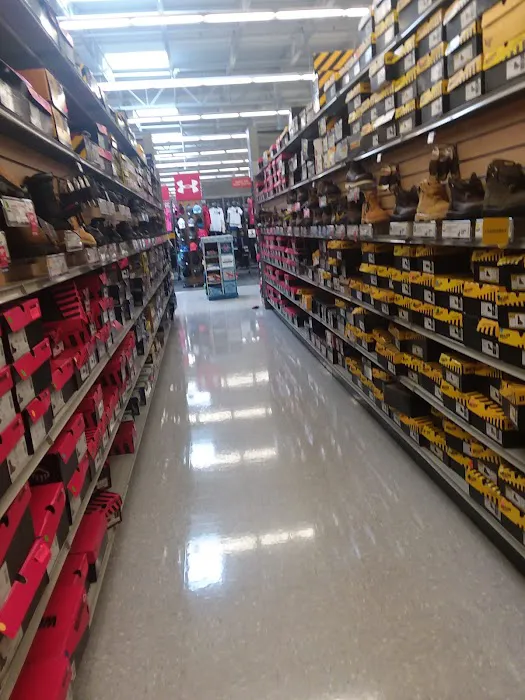 Academy Sports + Outdoors 5