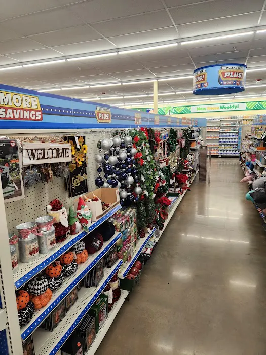 Dollar Tree 8