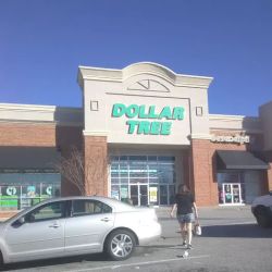 Dollar Tree ico