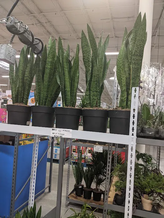 BJ's Wholesale Club 0