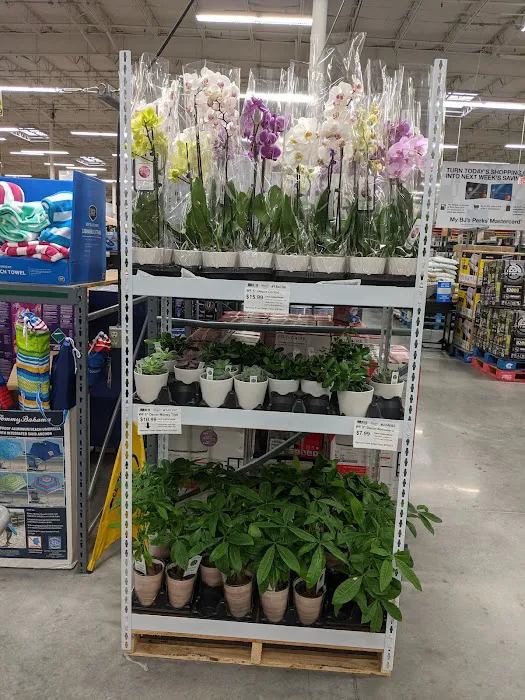 BJ's Wholesale Club 9
