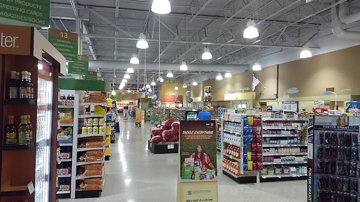 Publix Super Market at Stillwood Pavilion at Summer Grove 9