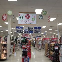 Lewis Stores - 69th & Louise, Sioux Falls ico