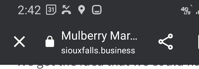 Mulberry Market 0