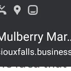 Mulberry Market ico