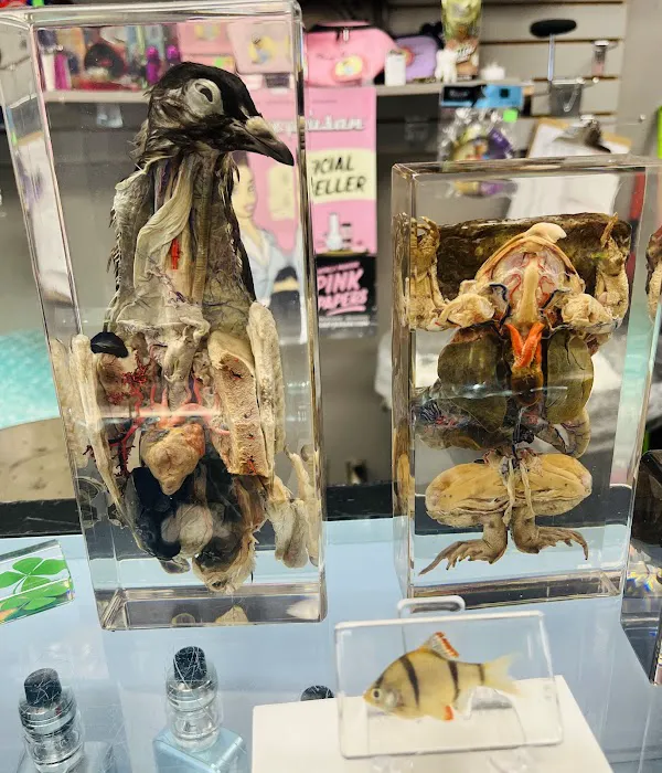 3rd Eye Vape & Glass 8