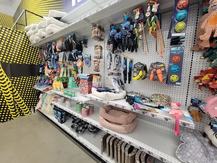 Five Below 5