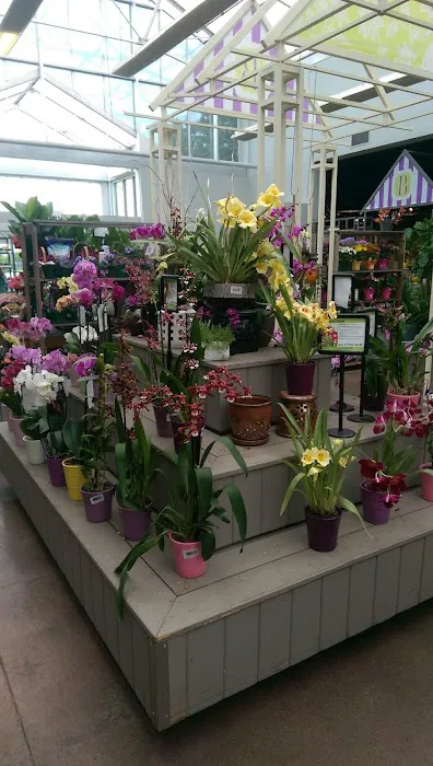 Bachman's Floral, Home & Garden 5