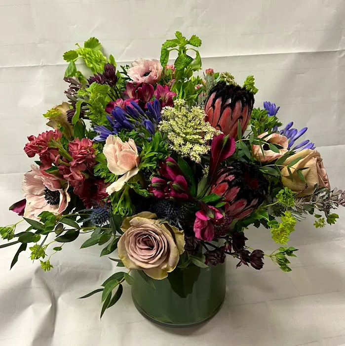 Belladonna Floral and Gift Studio 5