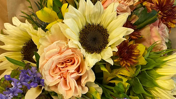 Belladonna Floral and Gift Studio 9