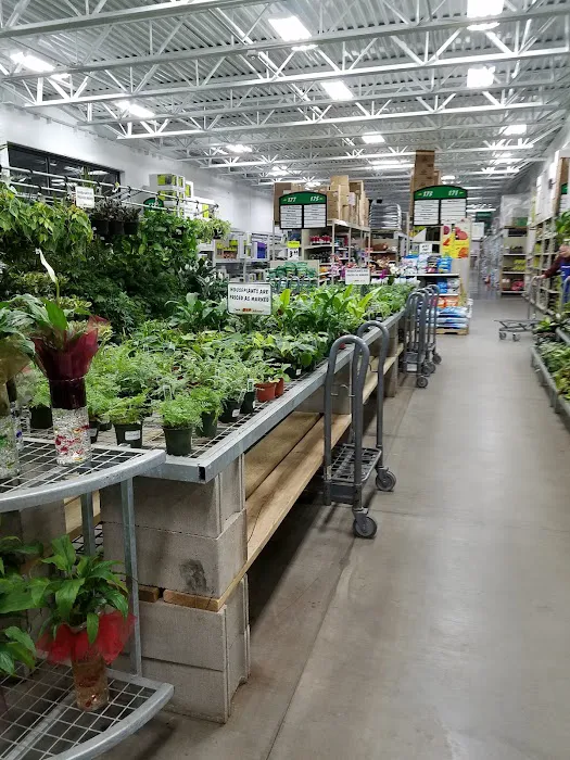 Menards 3