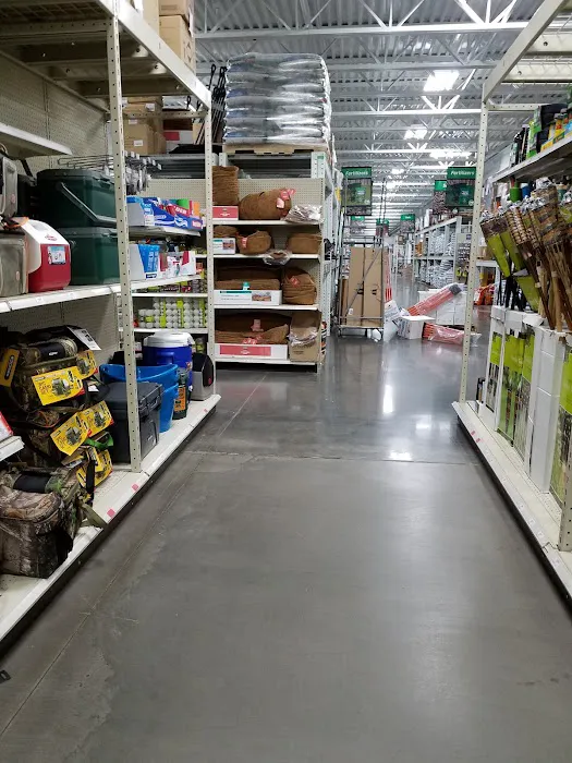 Menards 8