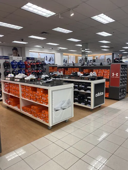 Kohl's 5