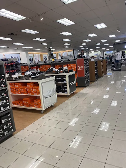 Kohl's 8