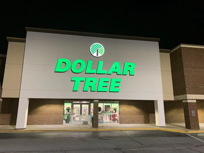 Dollar Tree 6
