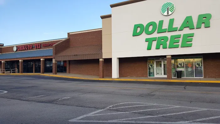 Dollar Tree 4