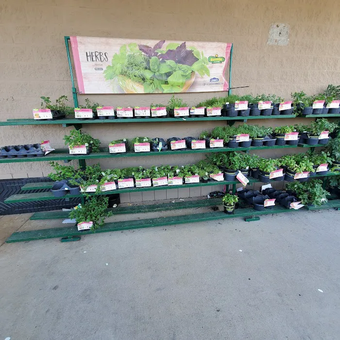 Lowe's Home Improvement 7