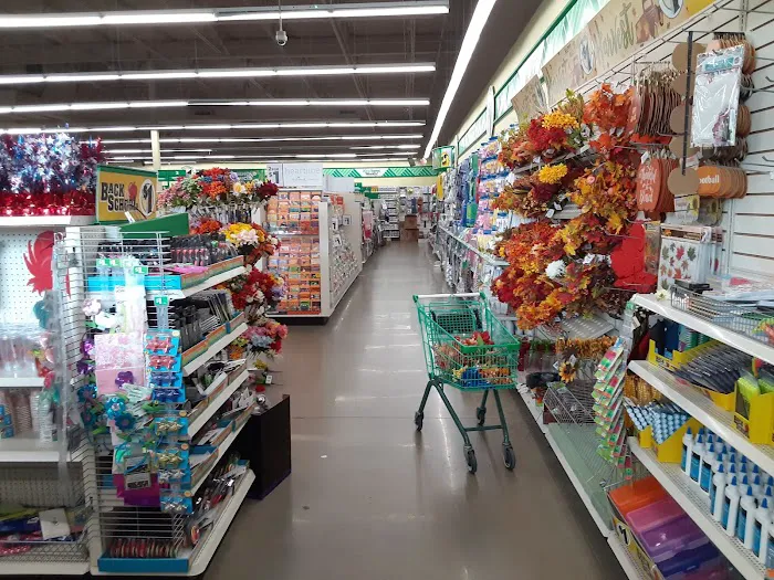 Dollar Tree 4