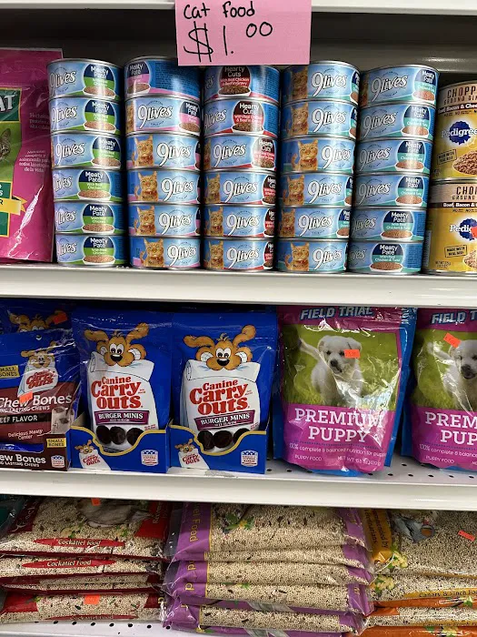 Party n Gifts (Dollar Store) 4