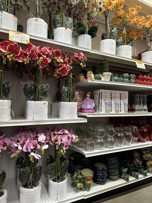 Party n Gifts (Dollar Store) 9
