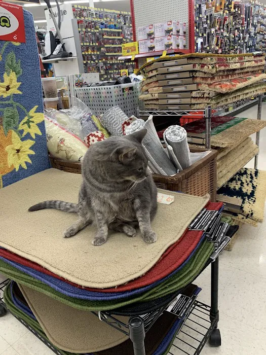 Costello's Ace Hardware of Princeton 8