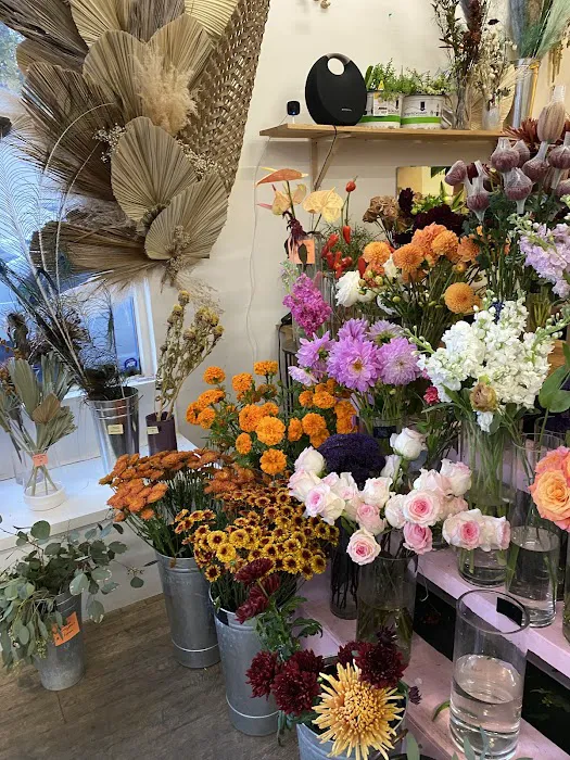 Diosa Blooms 5