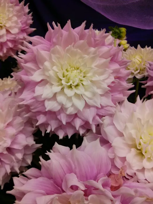 Floral Wishes and Gifts 0