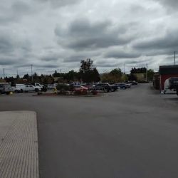 Lowe's Garden Center ico