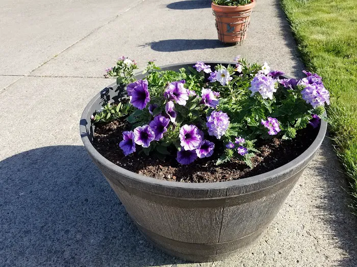 Lowe's Garden Center 4