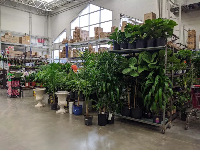 Lowe's Garden Center 5
