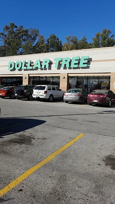 Dollar Tree 5