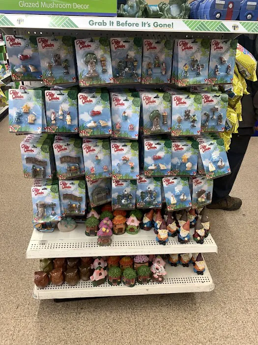 Dollar Tree 7