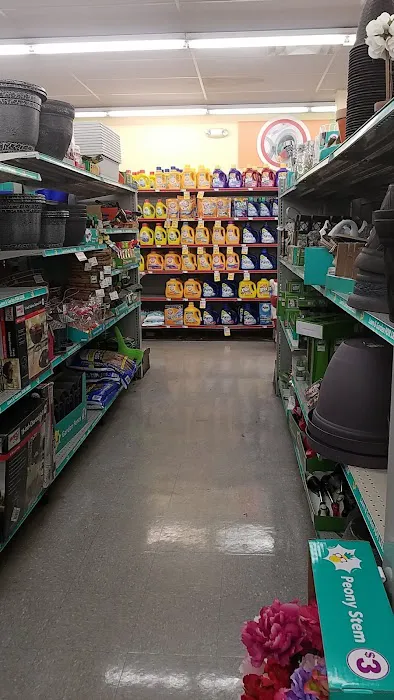 Family Dollar 3