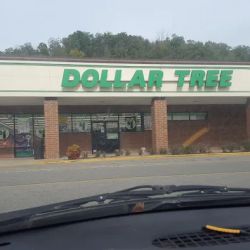 Dollar Tree ico