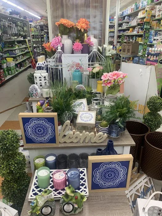 Dollar General 8